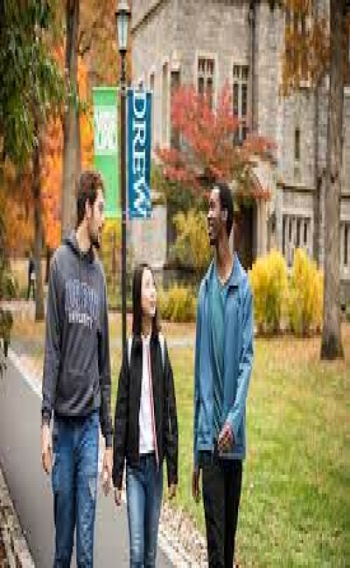 INTO Group - Drew University